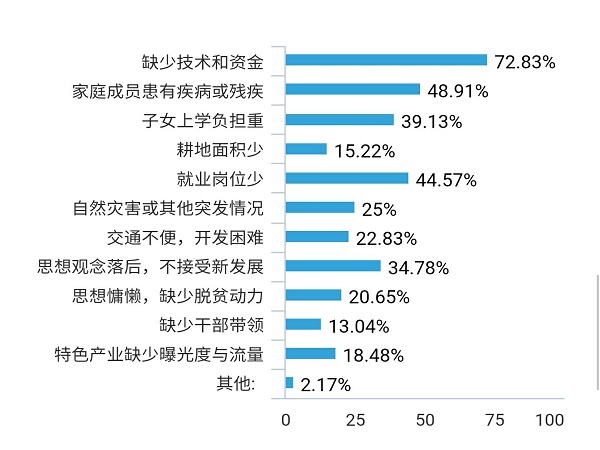 全方位解析SEO在网络推广中的核心地位与实际操作指南 (全方位解析死亡细胞)