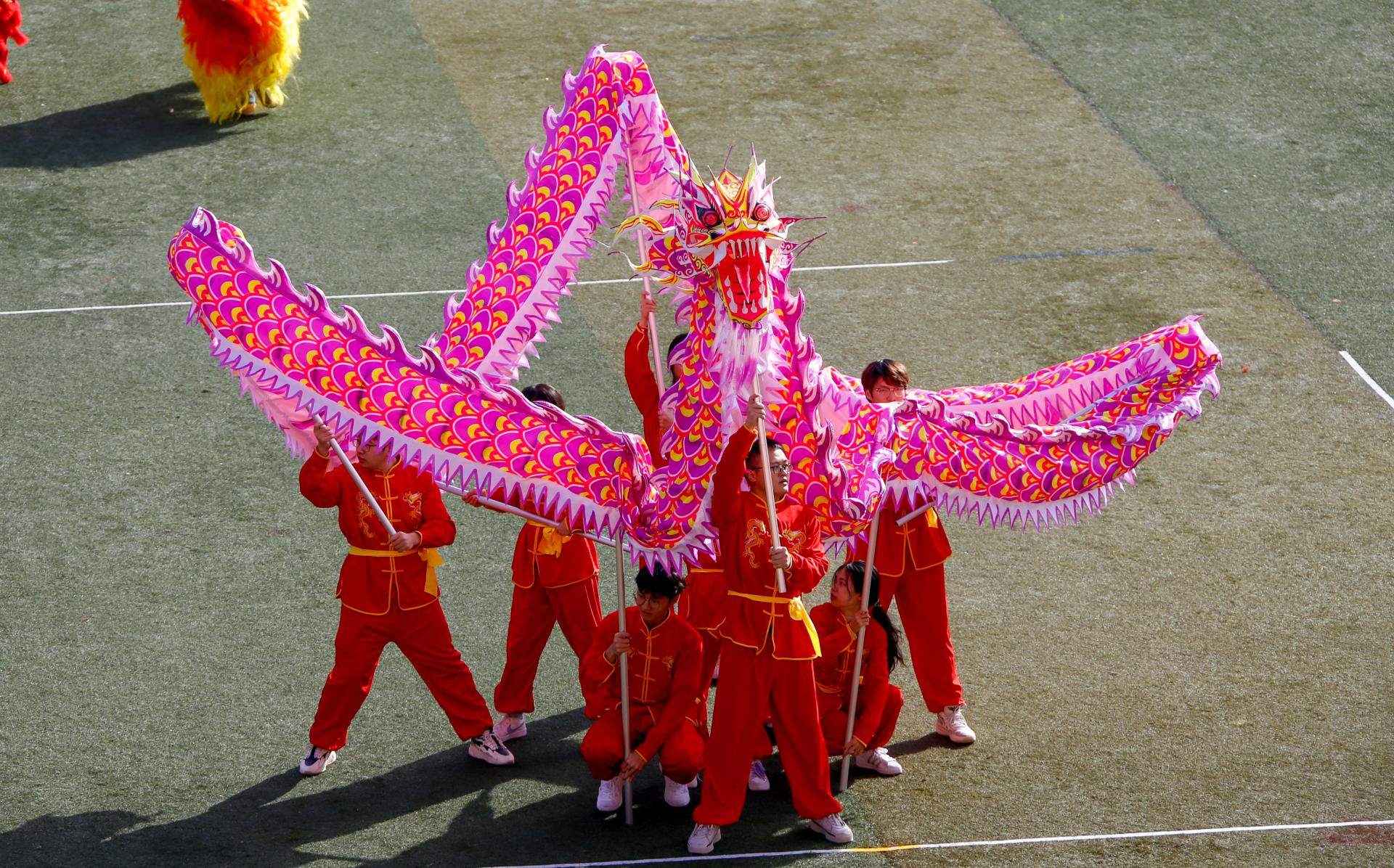 舞龙狮继传承法学院舞龙舞狮开场表演